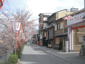 images/blog-kyouodori.jpg
