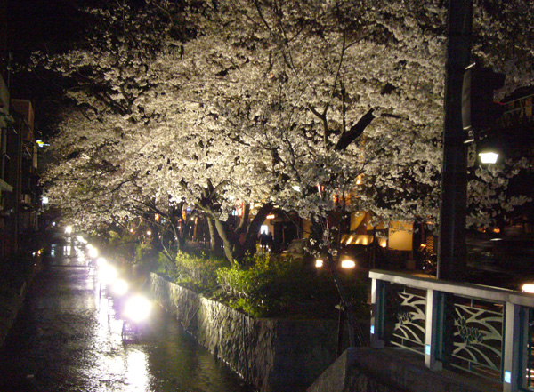 images/blog-yozakura.jpg