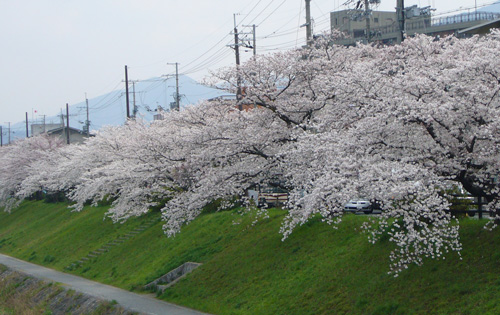 images/demachi-2008.jpg