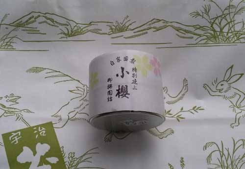 images/sakura-cya.jpg