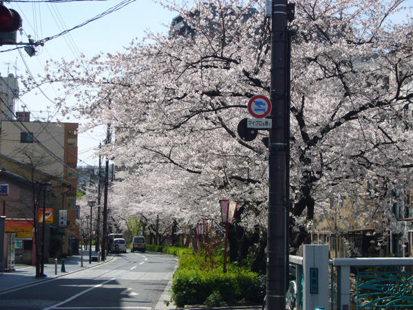 images/takasegawa.jpg